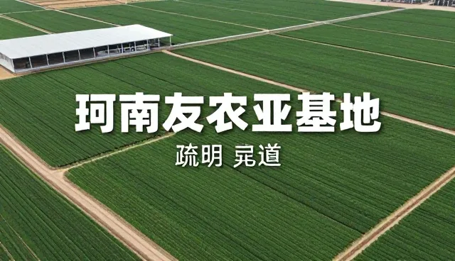 品牌宣传视频制作中的使用与维护建议